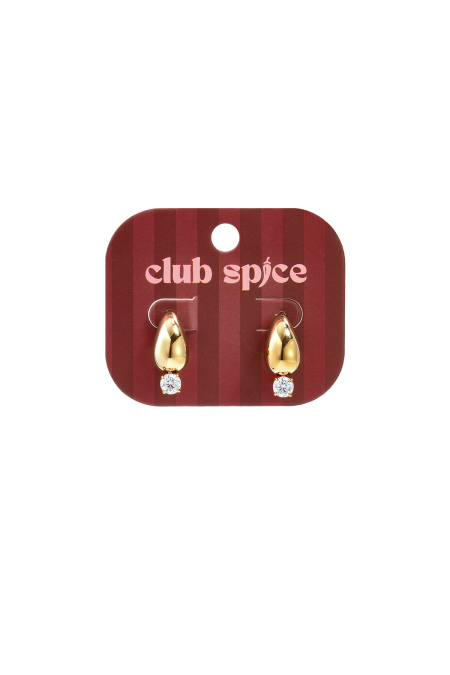 Boucles D'Oreilles Puces En Acier Inoxydable, Forme Goutte, Collection Simple Daily, Bijoux Pour Femmes 2