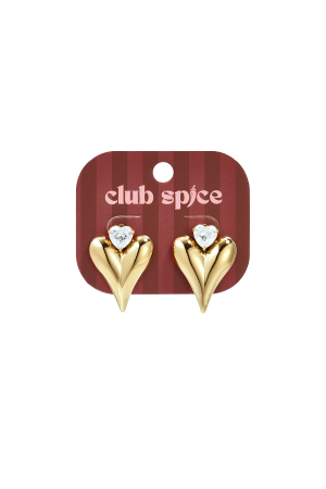 Boucles D'Oreilles Puces En Acier Inoxydable En Forme De Cœur, Collection Daily Simple, Bijoux Pour Femmes h5 Image2