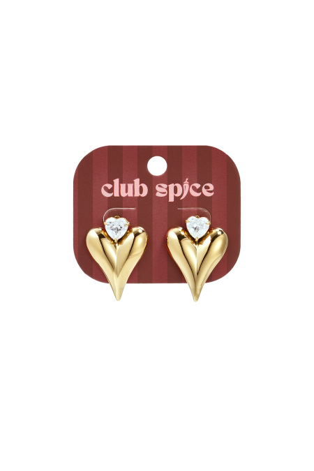 Boucles D'Oreilles Puces En Acier Inoxydable En Forme De Cœur, Collection Daily Simple, Bijoux Pour Femmes 2