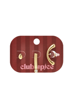 Boucles D'Oreilles En Acier Inoxydable, Forme Irrégulière, Collection Simple Daily Simple, Bijoux Pour Femmes h5 Image3