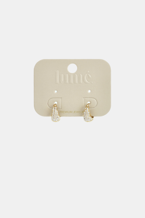 Boucles D'Oreilles Créoles En Acier Inoxydable, Forme Irrégulière, Collection Simple Daily Simple, Bijoux Pour Femmes h5 Image3