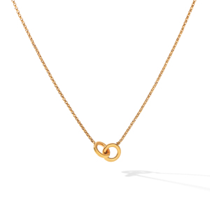 Colliers Pendentifs Ronds En Acier Inoxydable Étanche Couleur Or h5