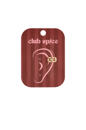Boucles D'Oreilles Manchettes En Acier Inoxydable, Style Cercle, Collection Simple Daily Simple, Bijoux Pour Femmes h5 Image2