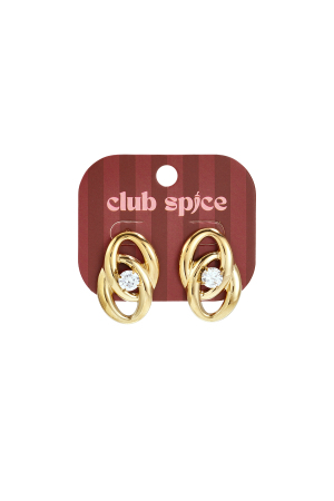 Boucles D'Oreilles Puces En Acier Inoxydable, Forme Elliptique, Collection Simple Daily Simple, Bijoux Pour Femmes h5 Image2
