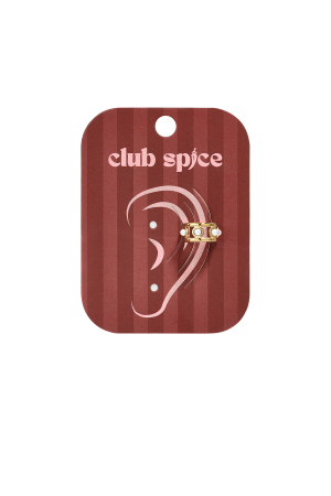 Boucles D'Oreilles Manchettes En Acier Inoxydable Ajourées, Collection Simple Daily Simple, Bijoux Pour Femmes h5 Image2