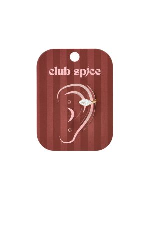 Boucles D'Oreilles Manchettes En Acier Inoxydable, Forme Elliptique, Collection Simple Daily Simple, Bijoux Pour Femmes h5 Image3