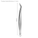couleur argent/Style5 Image5