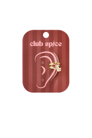 Boucles D'Oreilles Manchettes En Acier Inoxydable, Forme Elliptique, Collection Simple Daily Simple, Bijoux Pour Femmes h5 Image4