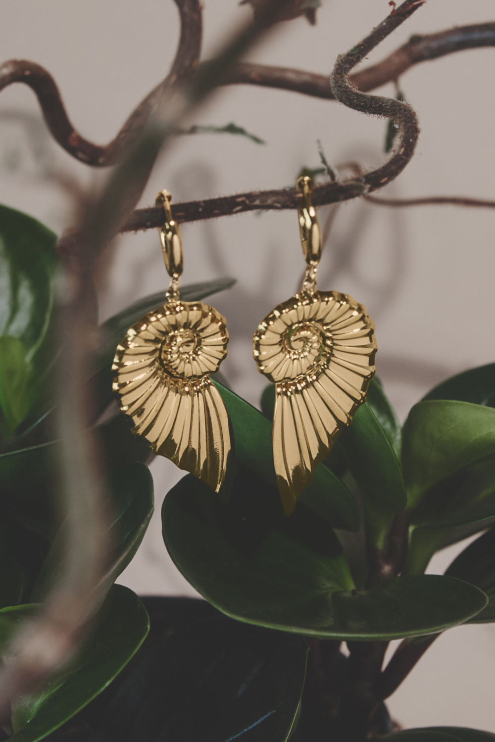 Petites Boucles D'Oreilles Créoles Avec Un Grand Pendentif En Coquillage Torsadé h5Image2