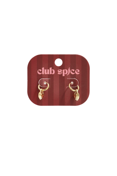 Boucles D'Oreilles Pendantes En Acier Inoxydable En Forme De Cœur, Collection Daily Simple, Bijoux Pour Femmes 2