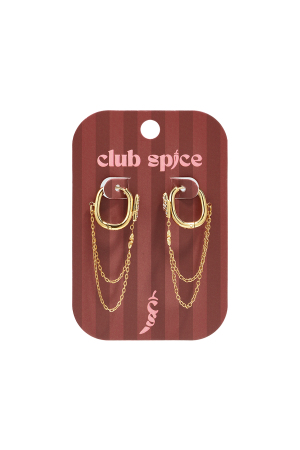 Boucles D'Oreilles Pendantes En Acier Inoxydable, Chaîne, Collection Simple Daily Simple, Bijoux Pour Femmes h5 Image2
