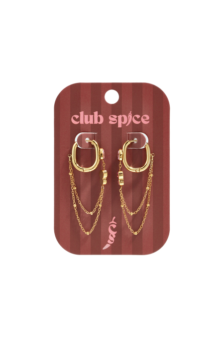 Boucles D'Oreilles Pendantes En Acier Inoxydable, Chaîne, Collection Simple Daily Simple, Bijoux Pour Femmes 2