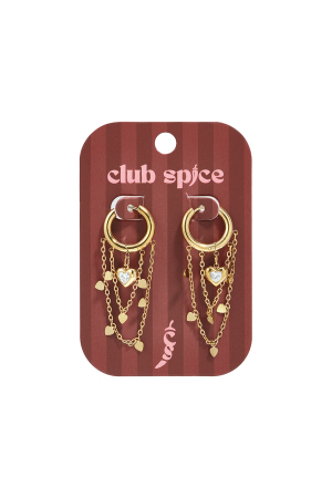 Boucles D'Oreilles Pendantes En Acier Inoxydable En Forme De Cœur, Collection Élégante Et Simple Pour Femmes, Bijoux Du Quotidien h5 Image2