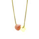 Rose Image4