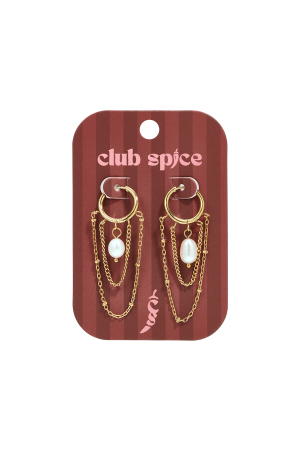 Boucles D'Oreilles Pendantes En Acier Inoxydable, Chaîne, Collection Simple Daily Simple, Bijoux Pour Femmes h5 Image2