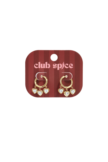 Boucles d'oreilles pendantes en acier inoxydable en forme de cœur, collection Daily Simple, bijoux pour femmes 2