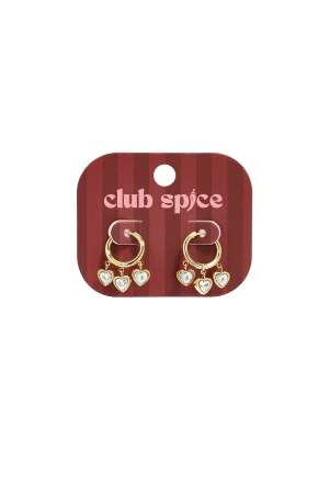 Boucles D'Oreilles Pendantes En Acier Inoxydable En Forme De Cœur, Collection Daily Simple, Bijoux Pour Femmes h5 Image2