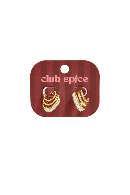 Boucles D'Oreilles Puces En Acier Inoxydable, Forme Irrégulière, Collection Simple Daily Simple, Bijoux Pour Femmes 2