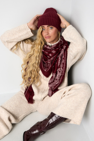 Écharpes D'Hiver À Motif Cachemire, En Polyester Classique, Accessoires Du Quotidien h5 Image3