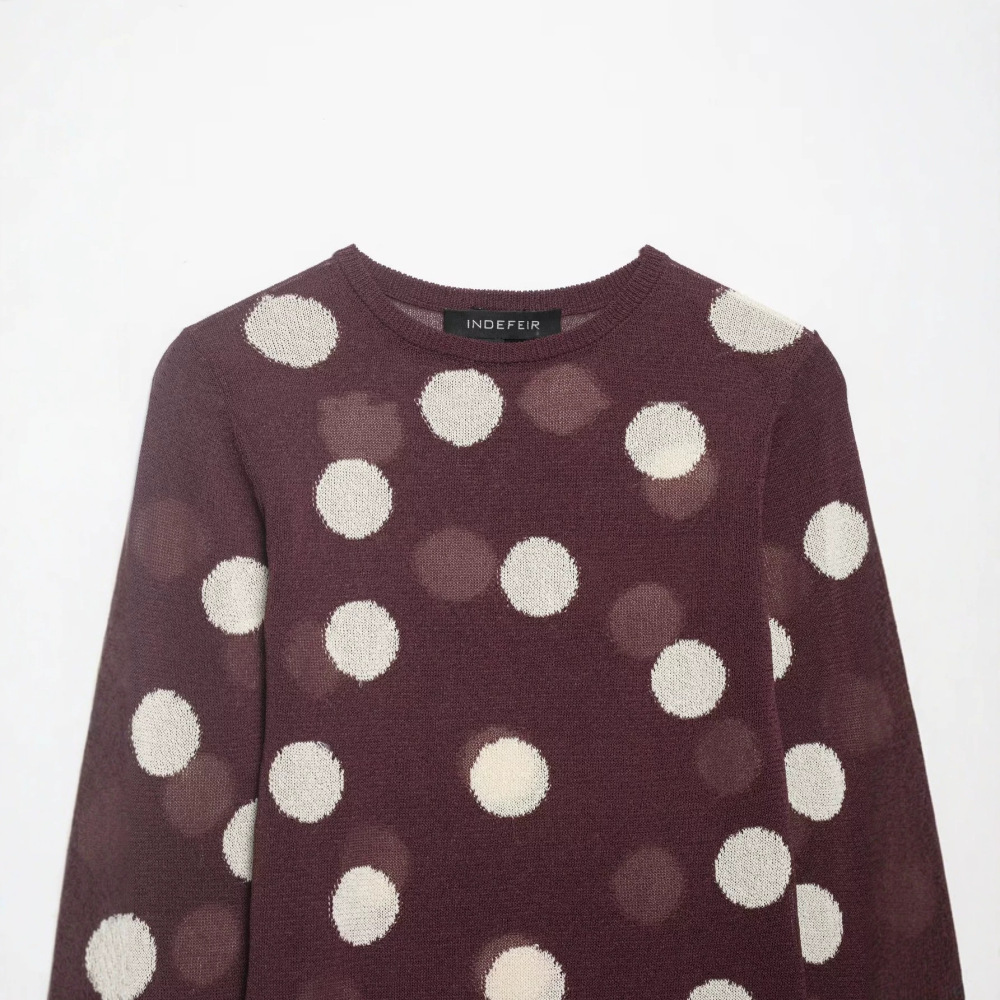 Pull En Maille Transparente À Pois Rétro Élégant Et Coupe Ajustée Image2