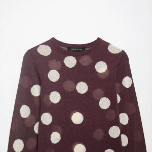 Pull En Maille Transparente À Pois Rétro Élégant Et Coupe Ajustée h5 Image2