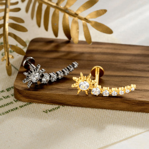 Boucles D'Oreilles Piercing Pour Femme, Forme Géométrique Simple, Alliage De Titane, Couleur Or, Zircon. h5 Image4
