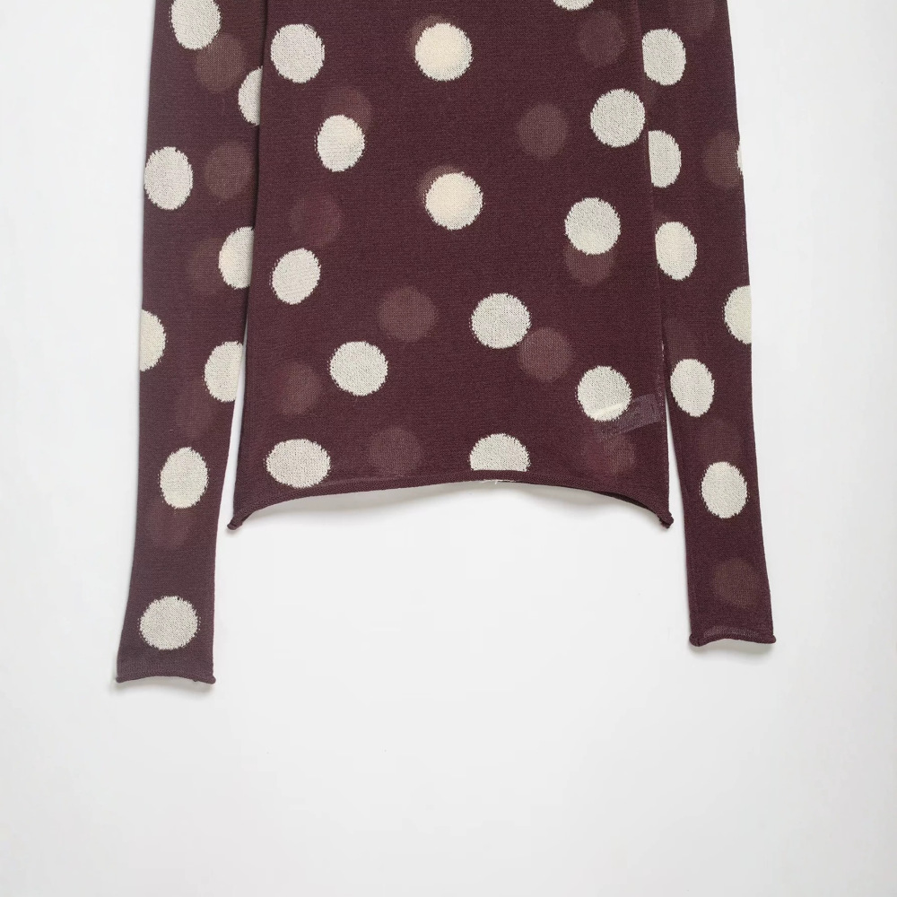 Pull En Maille Transparente À Pois Rétro Élégant Et Coupe Ajustée Image3