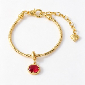 Bracelets À Breloques Pour Femmes, Collection Simple, Élégants, Ronds, Couleur Cuivre Doré, Zircon. h5 