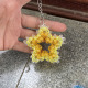 Jaune Image5