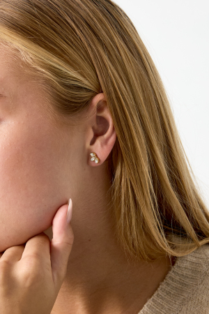Boucles D'Oreilles Puces En Acier Inoxydable, Style Feuille, Collection Daily Simple, Bijoux Pour Femmes h5 Image2