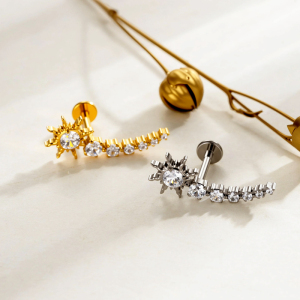 Boucles D'Oreilles Piercing Pour Femme, Forme Géométrique Simple, Alliage De Titane, Couleur Or, Zircon. h5 Image5