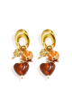 Ambre 