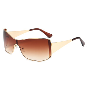 Lunettes De Soleil Élégantes À Dégradé De La Série Simple h5 Image2