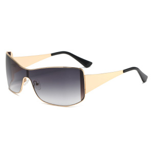 Lunettes De Soleil Élégantes À Dégradé De La Série Simple h5 