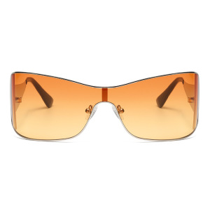 Lunettes De Soleil Élégantes À Dégradé De La Série Simple h5 Image4