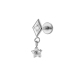 T2557-5# Argent Image11