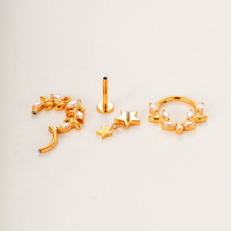 Boucles D'Oreilles Piercing Femme En Titane Et Zircon, Motif Feuille Simple (1 Pièce) h5Image4