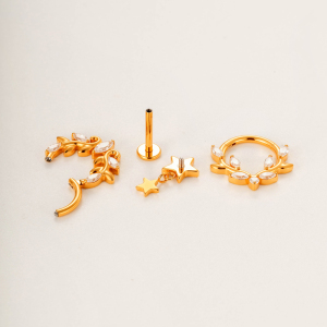 Boucles D'Oreilles Piercing Femme En Titane Et Zircon, Motif Feuille Simple (1 Pièce) h5 Image4