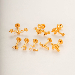 Boucles D'Oreilles Piercing Femme En Titane Et Zircon, Motif Étoile Végétale (1 Pièce) h5 Image5