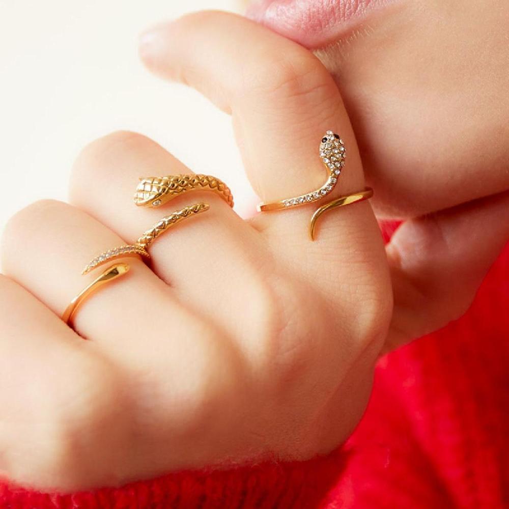Bague Serpent En Acier Inoxydable Avec Détail En Zircon Image4