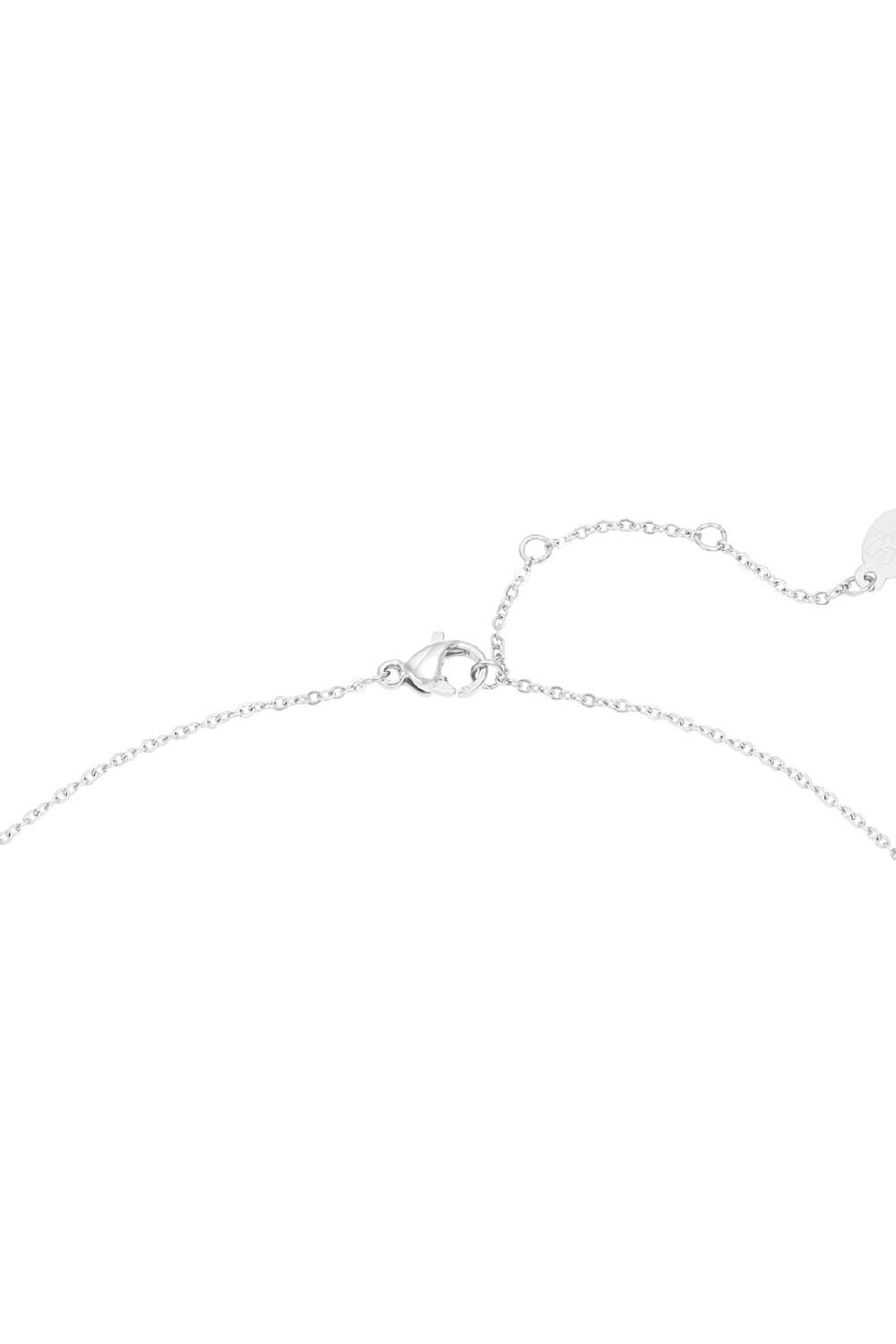 Collier Desert Argenté Acier Inoxydable Image3