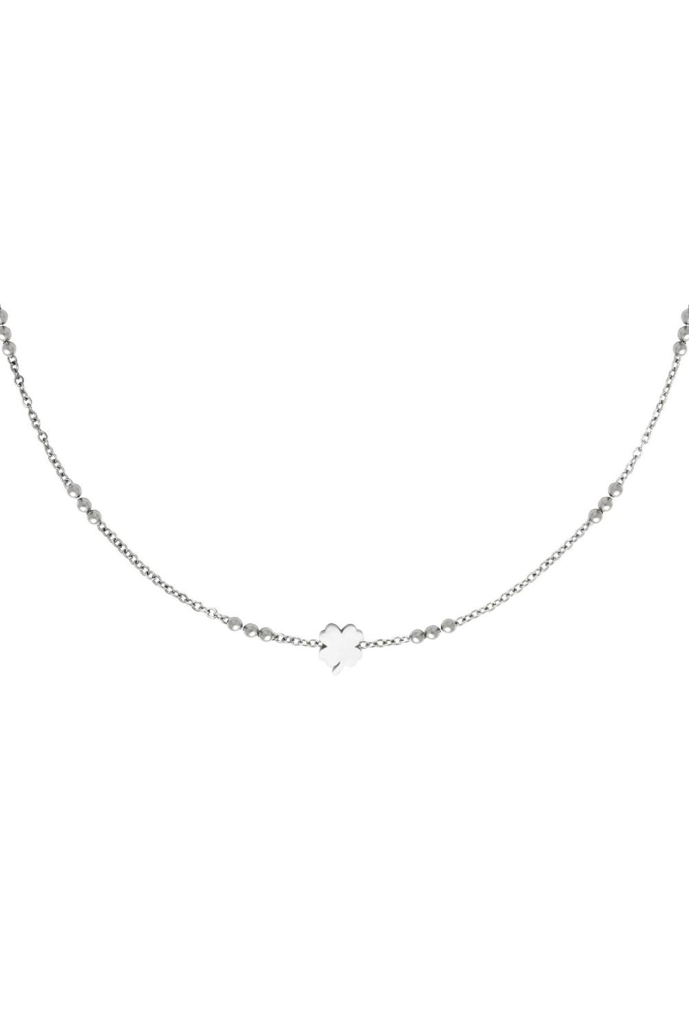 Collier En Acier Inoxydable Argenté 