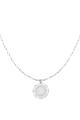couleur argent Image2