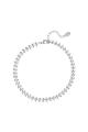 couleur argent Image2