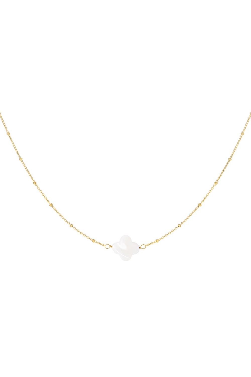 Collier Coquillage Trèfle Couleur Or Acier Inoxydable 