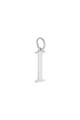 couleur argent Image12