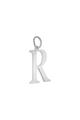 couleur argent Image15