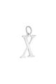 couleur argent Image19