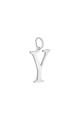 couleur argent Image20