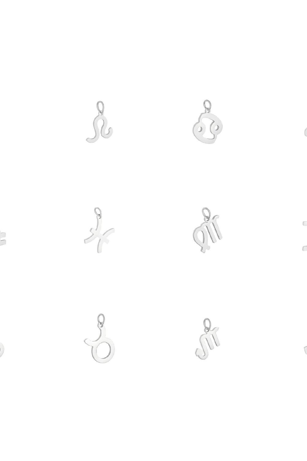 Charm Zodiac Taurus Argenté Acier Inoxydable Image2